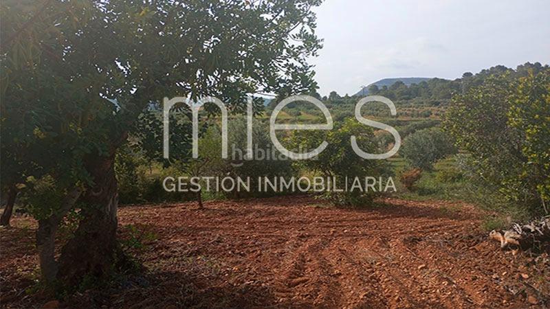 Foto 6e9e488b-4475-4d77-9c73-5a006f3aaad7. Bauernhof in cañada del pinar 0 in Macastre