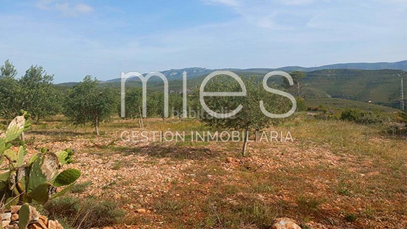 Foto 9973744d-7ade-48df-8485-69b3b1f0bb7b. Bauernhof in cañada del pinar 0 in Macastre