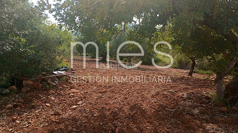 Foto d6132db2-ff4e-430a-9817-73a6f1b359b6. Bauernhof in cañada del pinar 0 in Macastre