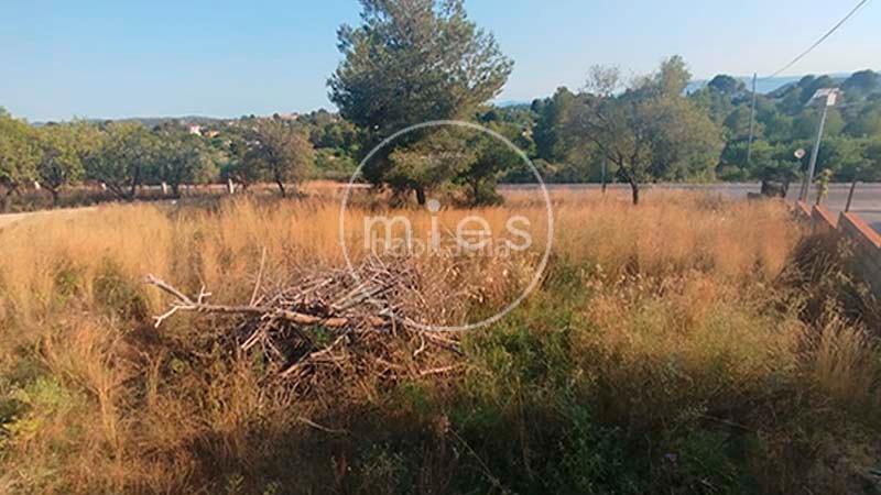 Foto d8f4fccc-2b34-4e20-b1c2-b38e8fa04ffd. Chalet en montserrat 0 chalet independiente montserrat en Monserrat