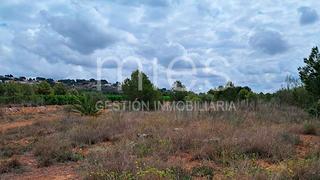 Bâtiment à usage industriel  La pardala 0. Almacén con terreno