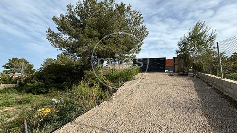 Foto 0fce74ed-af95-4f00-9641-12fd62418f92. Finca rústica a altury 0 a Turís