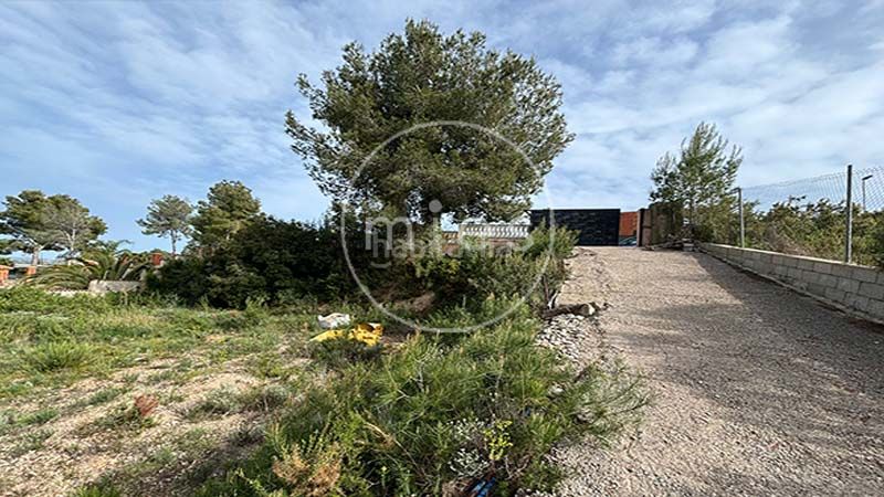 Foto 354663f3-5f33-4b55-9c14-2eb2cc70655e. Finca rústica a altury 0 a Turís