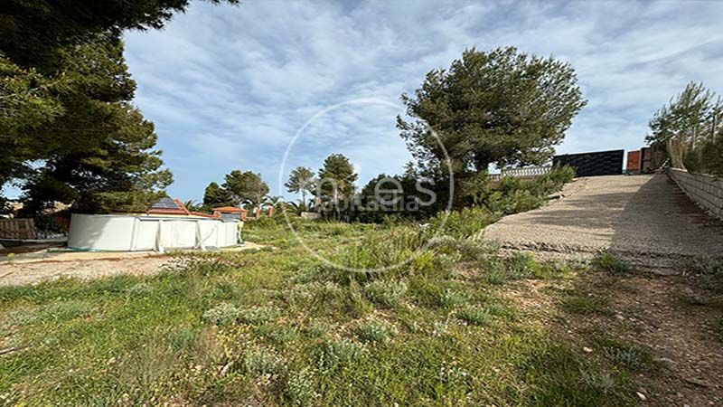 Foto 355ee23c-840d-4455-bc49-ec93f52b95de. Finca rústica a altury 0 a Turís