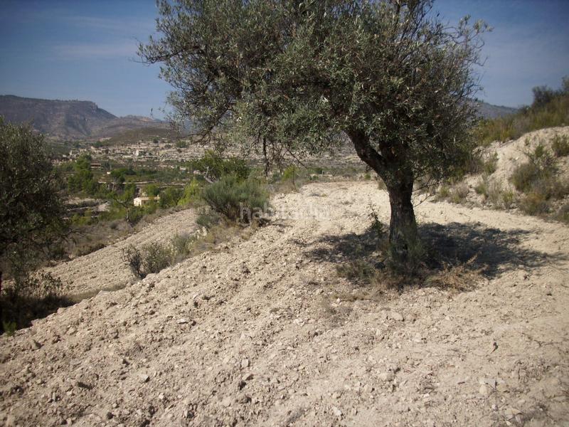 Foto 1f405020-74cd-4ed1-b409-8417fc767c95. Landgut in partida bortolons 15 in Relleu