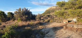Finca rústica a Partida margelet 5. Relleu. todo registrado