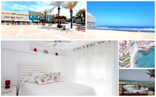 Rent Flat  Plaza bohemia