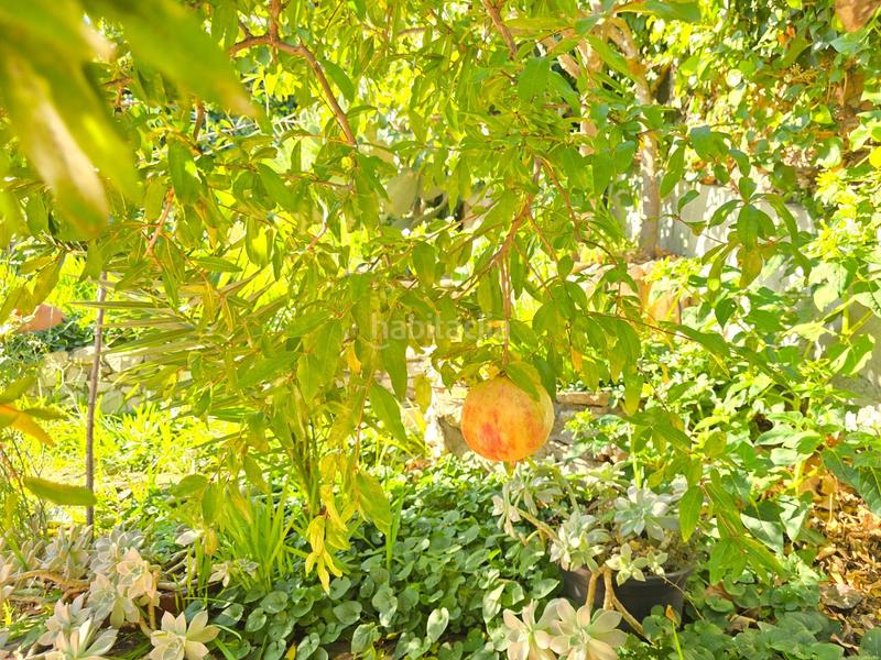 Foto 1d3eaa87-0970-4651-8bde-127cb0c8f528. Maison avec chauffage parking dans Olèrdola