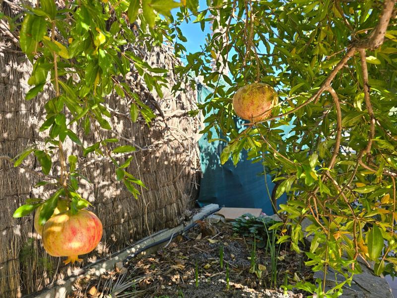 Foto 8c3bf9a7-cfcd-41f5-9806-4442345f1a8c. Maison avec chauffage parking dans Olèrdola