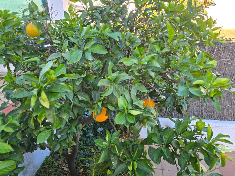 Foto cc2590ef-2a3f-49b0-a9b5-e379b75cf8ae. Maison avec chauffage parking dans Olèrdola