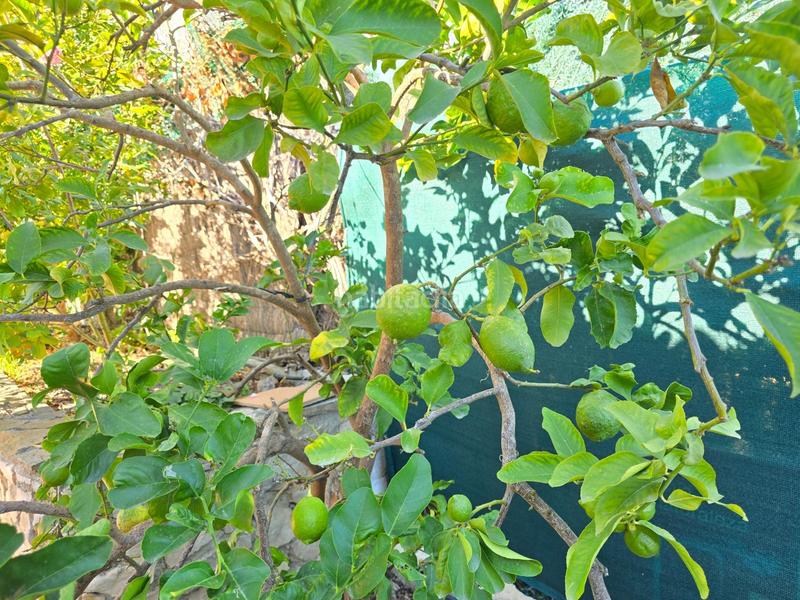 Foto e15bb35f-415c-457f-9a75-a022eaef3d31. Maison avec chauffage parking dans Olèrdola