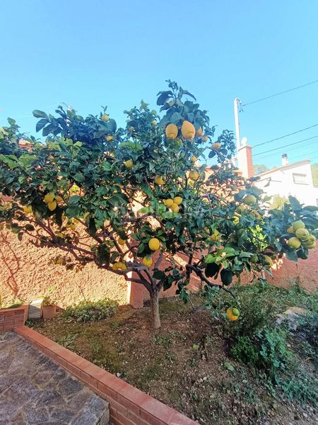 Foto 233e29ef-8414-4440-a3f6-fb9c65648ae4. Casa a Canyelles