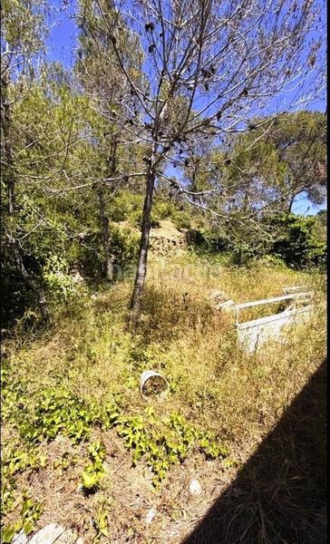 Foto 75635272-ab24-4595-8956-e863b4096f65. Casa amb aparcament a Canyelles