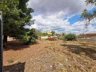 Residential Plot in Olivera 25. 2 terrenos juntos, llanos y soleados con todos los servicios.