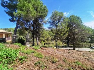 Terreno residencial en Andalusia 102. Terreno soleado y cercano a caminos con encanto