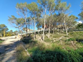 Terreny residencial a Bona vista 36. En entorno natural y aislado!