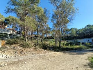 Terreny residencial a Bona vista 38. En zona tranquila y rodeada de naturaleza!