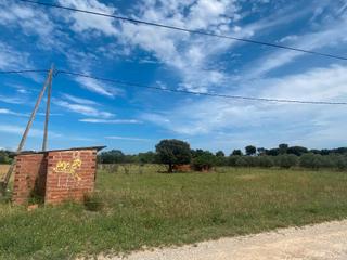 Finca rústica a Vial camino 8