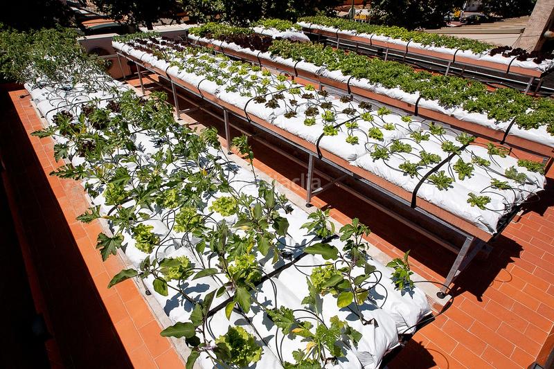 Foto 599a7310-96ed-435c-b0d8-d400e4d99ec0. Miete geschäftsraum in avenida joan carles 6 in Moxó - Sant Mori Empuriabrava