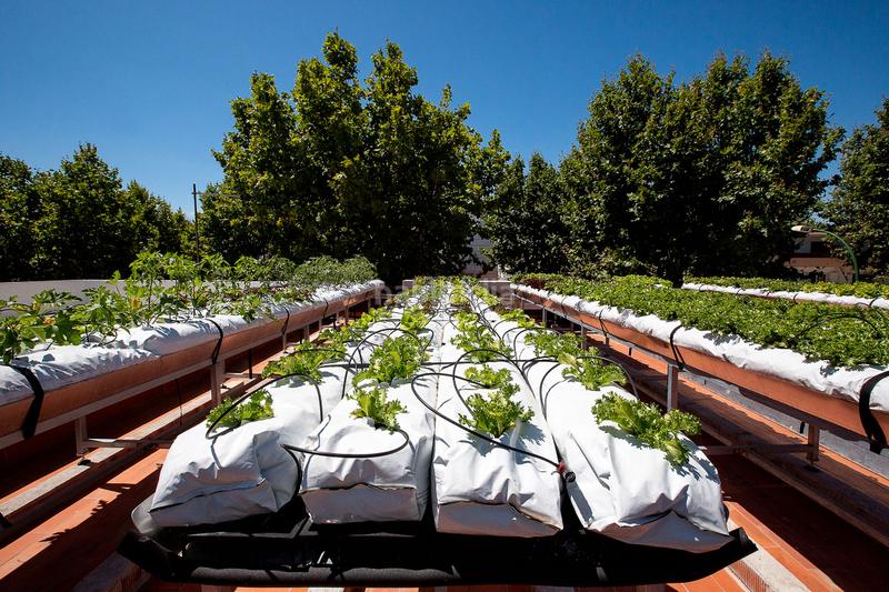 Foto ac954208-0af1-4cbd-b967-fbd6e8867750. Miete geschäftsraum in avenida joan carles 6 in Moxó - Sant Mori Empuriabrava