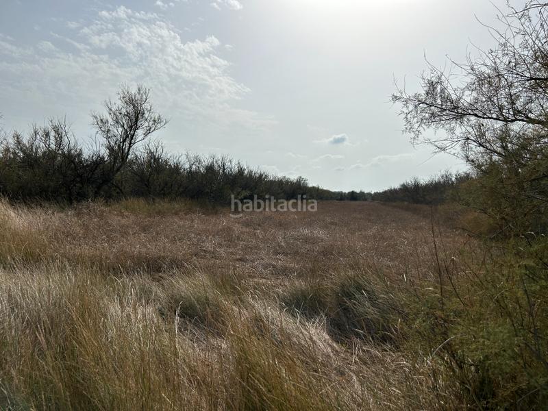 Foto 1c8e546f-490c-4c34-b53e-241103a37214. Finca rústica en n/a en Castelló d´Empúries