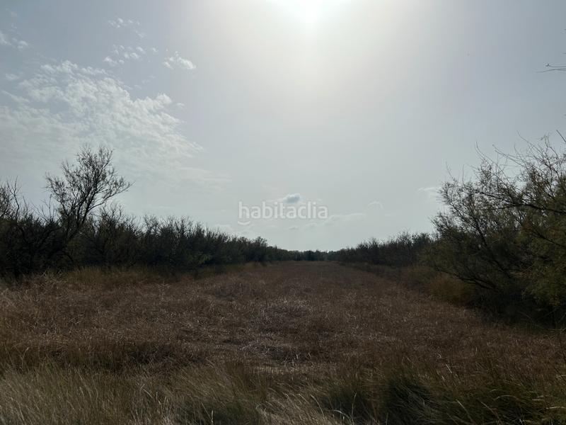 Foto 61fd563d-74b4-476c-aca2-84f55afeb424. Finca rústica en n/a en Castelló d´Empúries