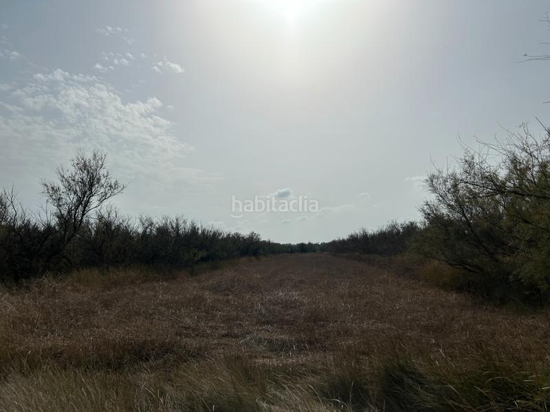 Foto b7102039-7b84-4051-af46-ff9b88c67cb8. Finca rústica en n/a en Castelló d´Empúries
