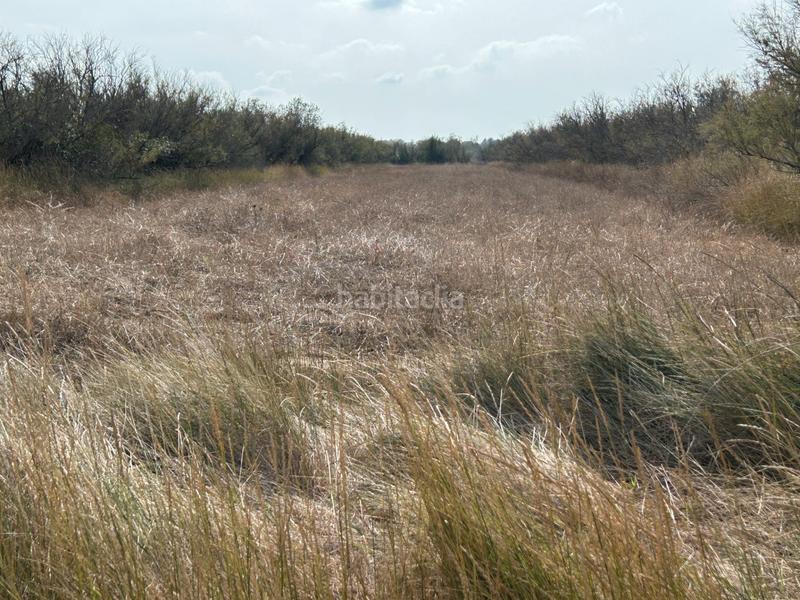 Foto bbd22d4d-2746-40c8-b077-476387754213. Finca rústica en n/a en Castelló d´Empúries