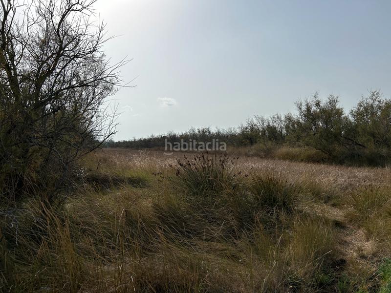 Foto cb788caf-5b00-4535-9df2-32f78b37fcf9. Finca rústica en n/a en Castelló d´Empúries