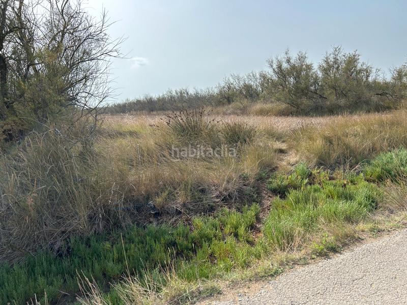 Foto cee8547d-8547-47a6-96df-9799549d9d5e. Finca rústica en n/a en Castelló d´Empúries