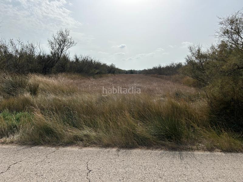 Foto e6e07d9d-1fc1-469f-8397-e78014eaa03a. Finca rústica en n/a en Castelló d´Empúries