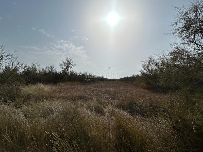 Foto ffd1db42-fff7-49f2-9876-b31a6eb7a5ed. Finca rústica en n/a en Castelló d´Empúries