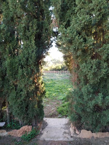 Foto 0604a281-9518-4ca5-9f30-de98d04789e0. Xalet amb calefacció aparcament piscina a Albalat dels Tarongers