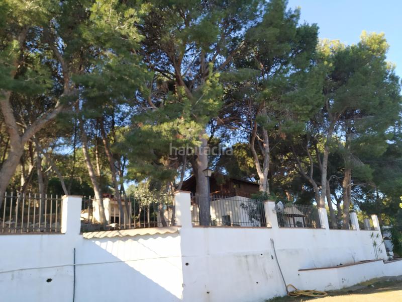 Foto 69dcc821-1c6a-425b-b99e-82eb1ec9893f. Xalet amb calefacció aparcament piscina a Albalat dels Tarongers