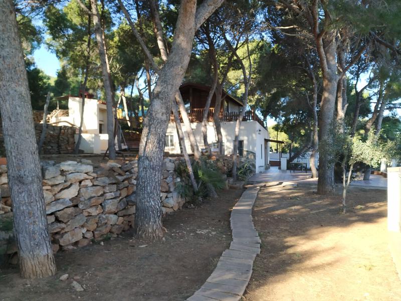 Foto e5030a5d-bb60-469c-9087-3e024e467a39. Xalet amb calefacció aparcament piscina a Albalat dels Tarongers