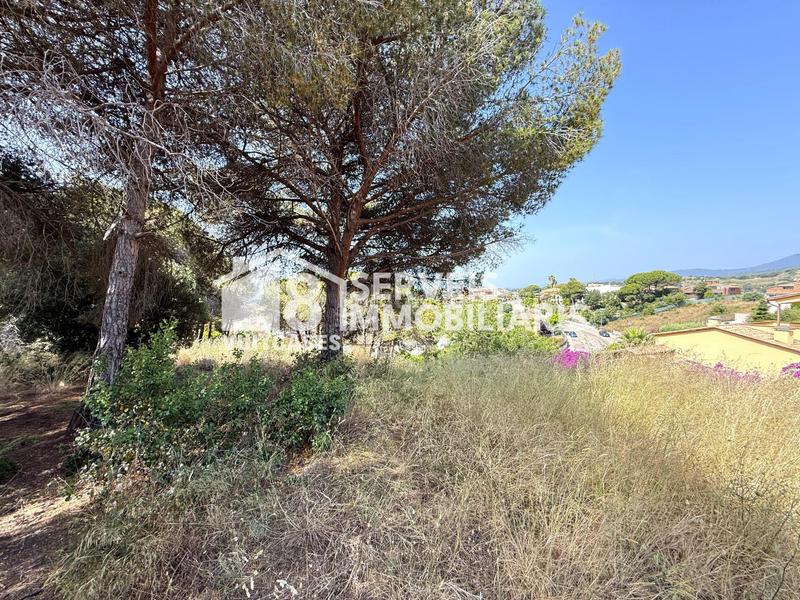 Foto 126d026c-7286-47ea-9956-c5afa9f92718. Terreno residencial en joan oms 35 en Canet de Mar