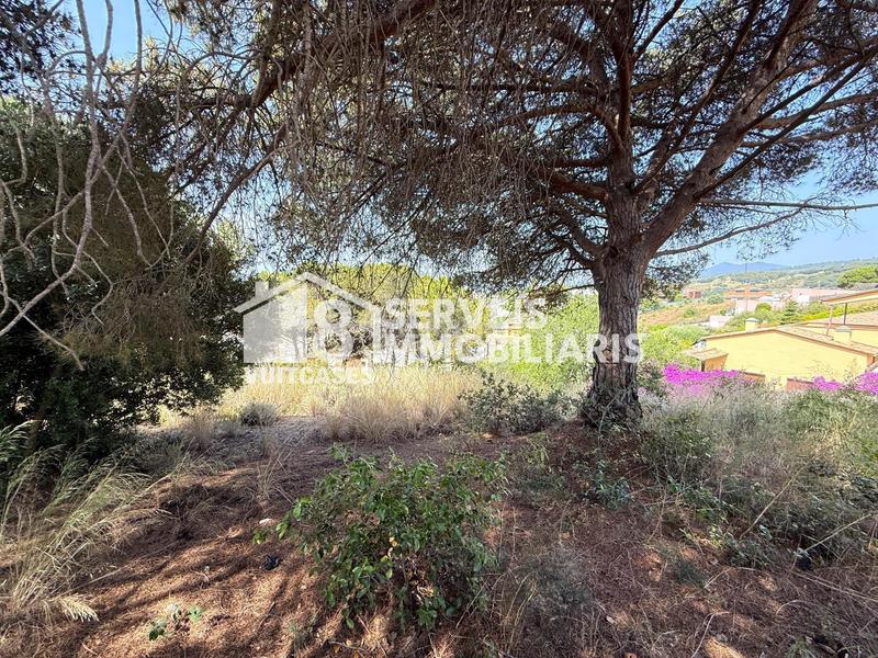 Foto 2f4dbcd8-4720-41c9-a476-8a82a1f39b6e. Terreno residencial en joan oms 35 en Canet de Mar