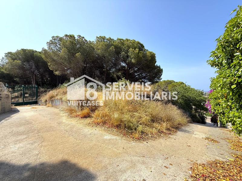 Foto 965fc8b0-2833-492f-a2da-55f77b44dbb2. Terreno residencial en joan oms 35 en Canet de Mar