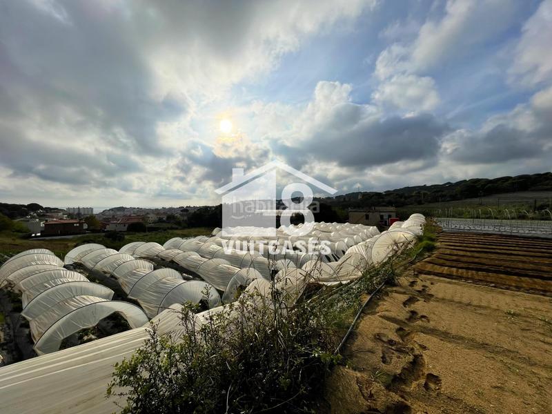 Foto 1e1ab292-fe5c-4d7b-a0b3-059261ba8ba7. Bauernhof mit parking in Canet de Mar