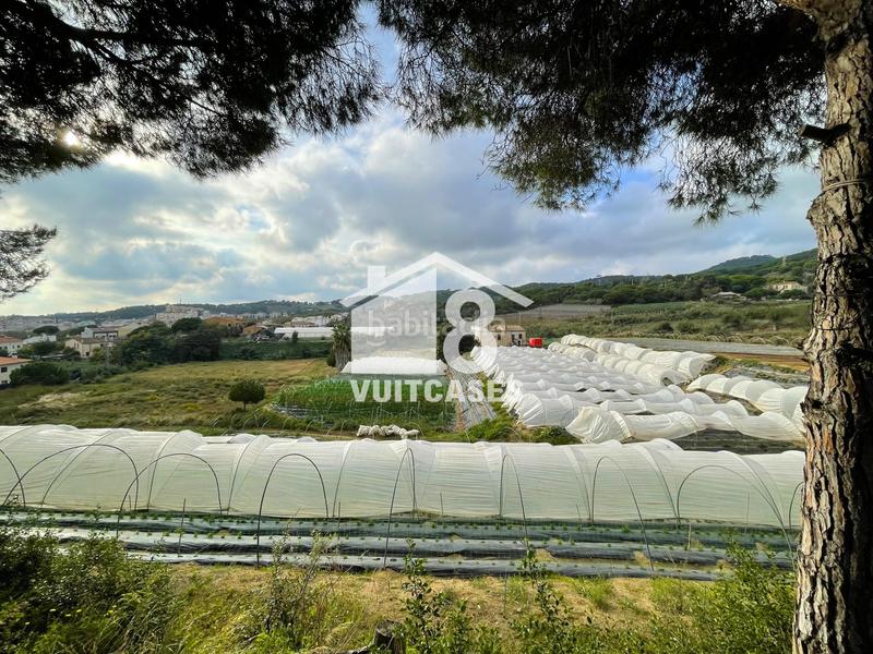 Foto 23cef922-2c15-4af3-8e10-6c08ac894dc7. Bauernhof mit parking in Canet de Mar