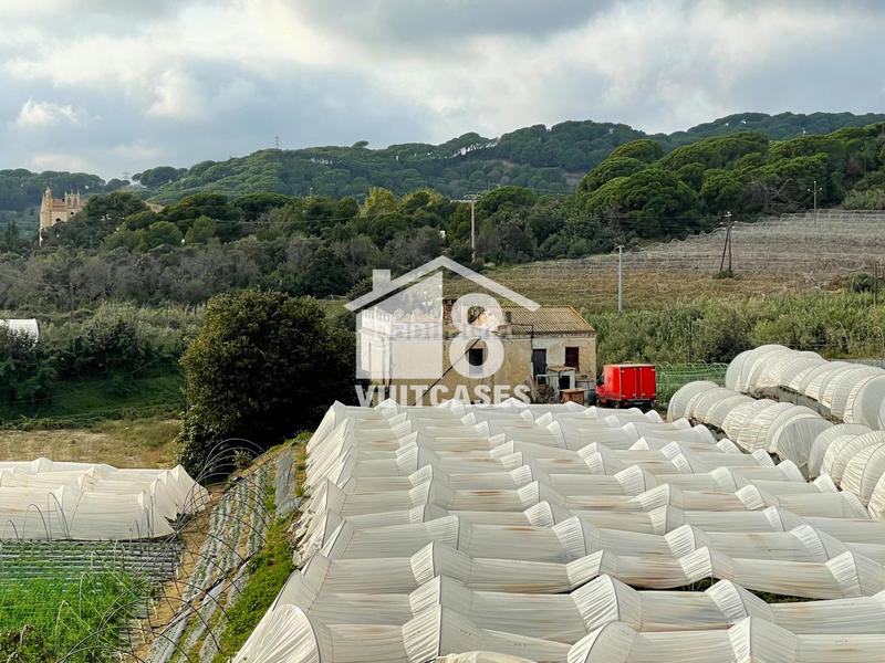 Foto 5854300f-34d8-412b-8086-0703cf3acdf1. Bauernhof mit parking in Canet de Mar