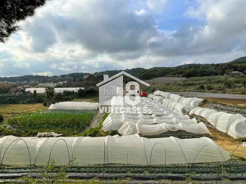 Foto 5a0b6433-7415-4d2e-ace0-055f91eb653a. Bauernhof mit parking in Canet de Mar