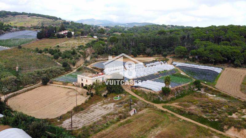 Foto 6ba70347-4a42-4bd7-aea1-5880ed9e40ed. Bauernhof mit parking in Canet de Mar