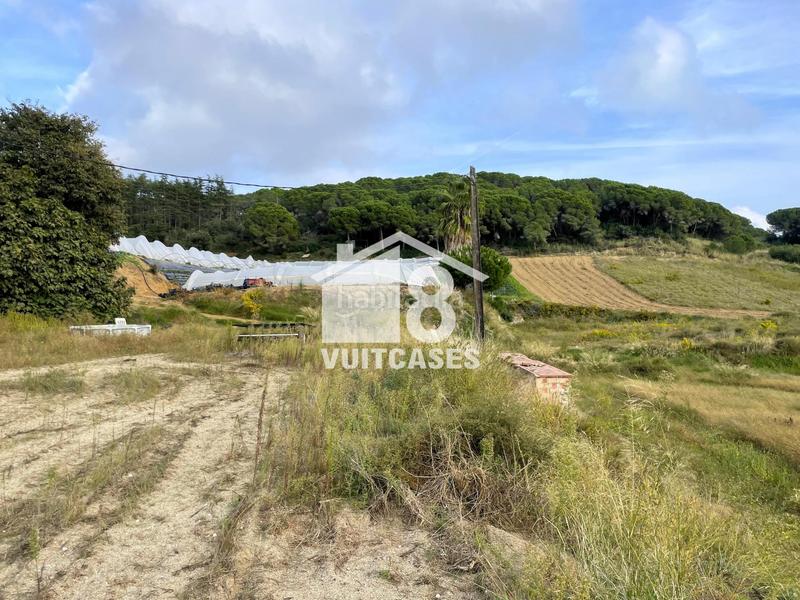 Foto 94aea8cd-7ed1-469b-83ab-1aed7d723805. Bauernhof mit parking in Canet de Mar