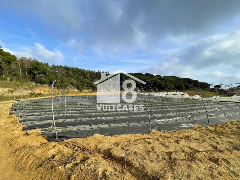 Foto de1c3cd4-7765-4036-8b23-9cf1aa17a4a4. Bauernhof mit parking in Canet de Mar