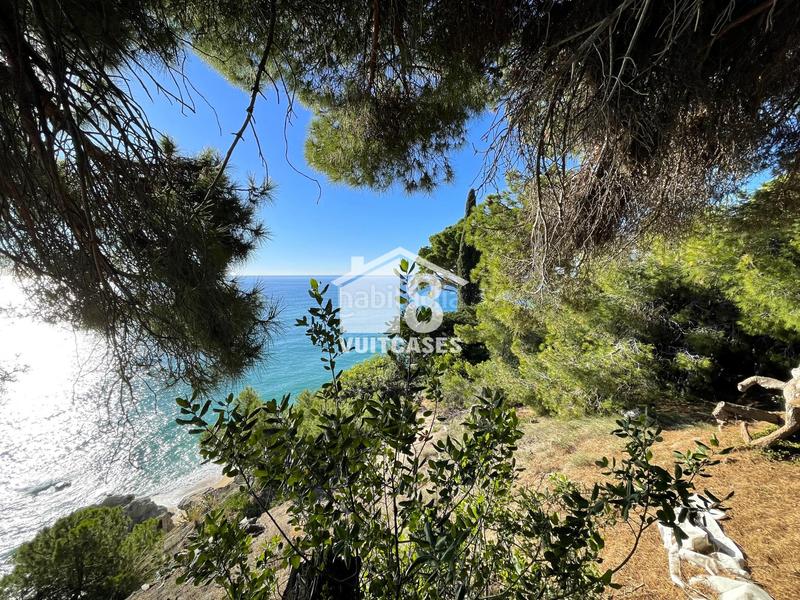 Foto 0ea0296f-9928-4e57-afff-8e7c38548f61. Terreny residencial a Victoria-Les Vil·les-Canyadell Arenys de Mar