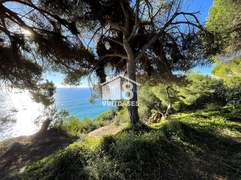 Foto 643c0239-3237-49a2-a6db-6e32f5ef0ad7. Terreny residencial a Victoria-Les Vil·les-Canyadell Arenys de Mar