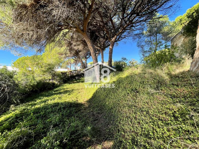 Foto 68e6f203-abc6-4853-9fc4-ab6edadea3ba. Terreny residencial a Victoria-Les Vil·les-Canyadell Arenys de Mar
