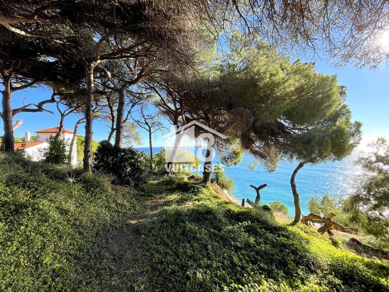 Foto 6c5d16b9-8967-4d3c-830d-d3c638fd96cc. Terreny residencial a Victoria-Les Vil·les-Canyadell Arenys de Mar