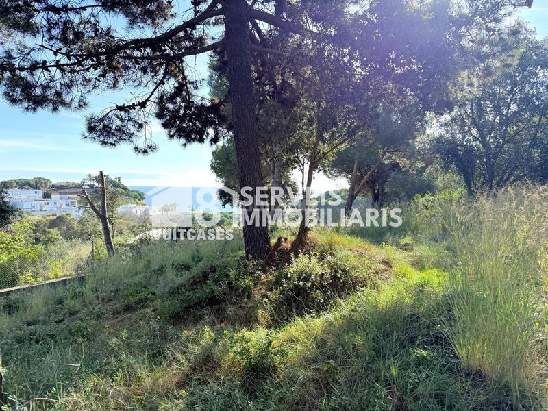 Foto d5ae1fe6-5b84-49d7-9a1a-de3896add885. Wohngrundstück in de pere corominas 28 in Urbanitzacions Sant Pol de Mar